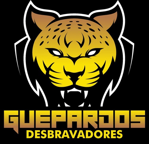Guepardos