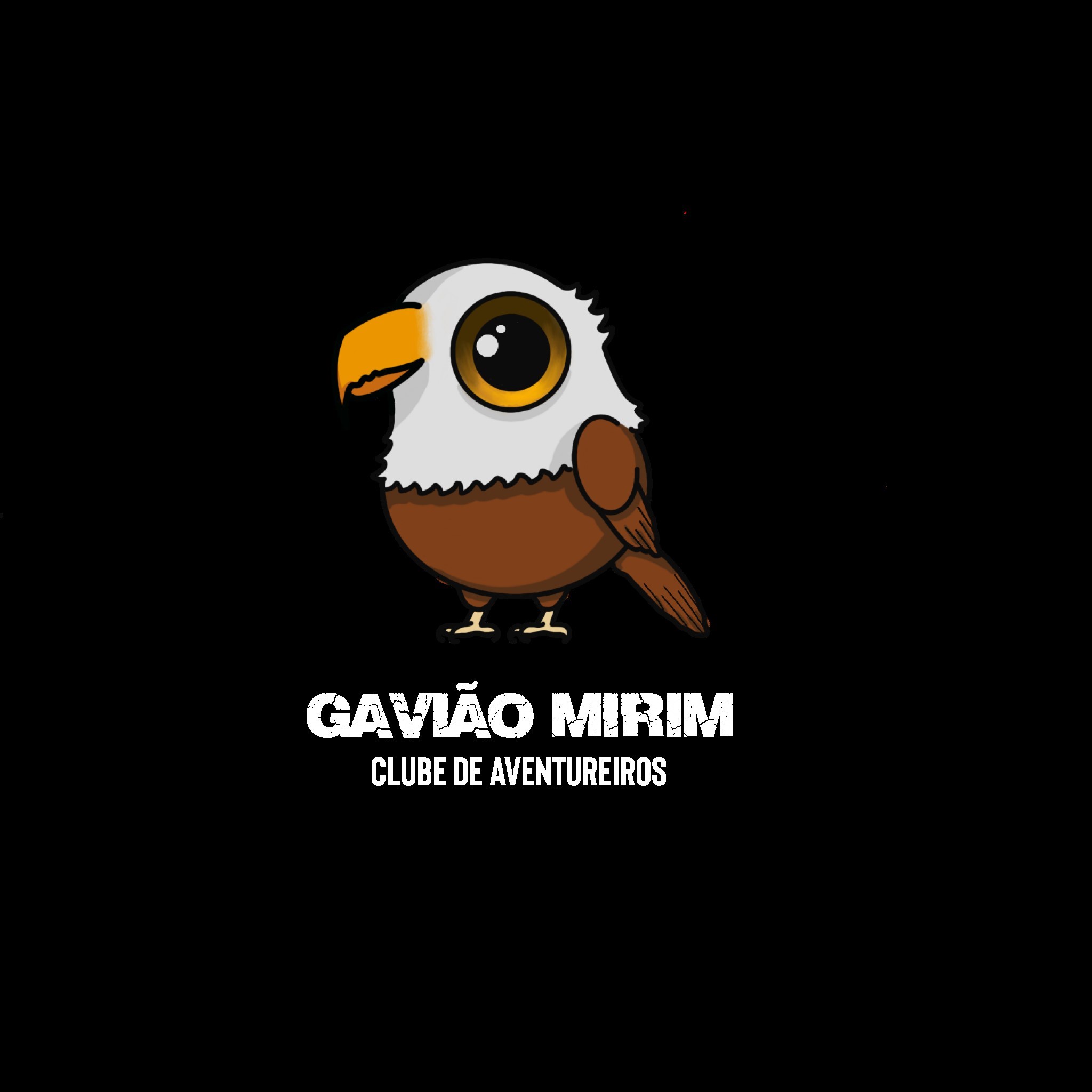 Gavião Mirim