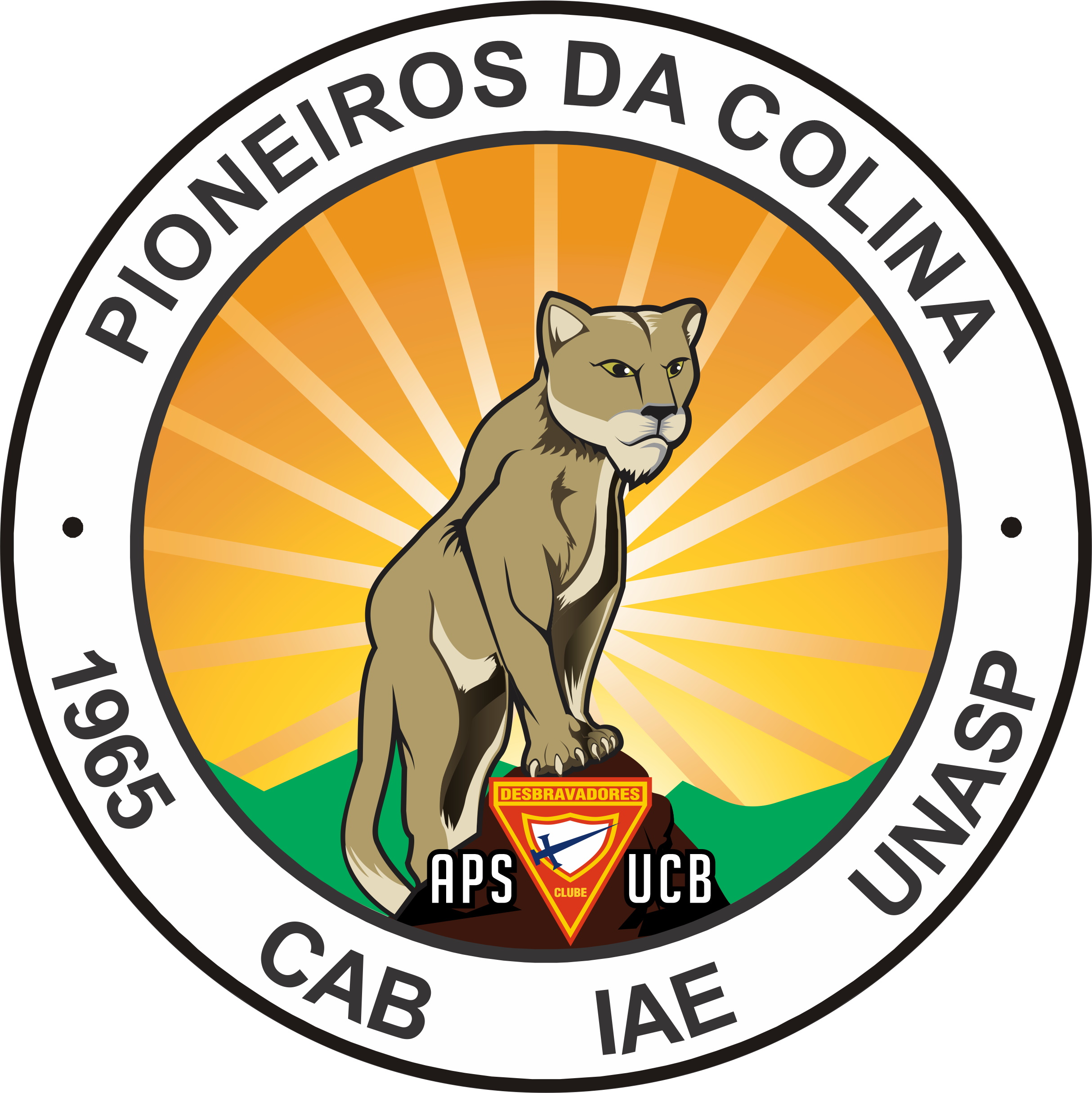 Ordem Unida  Clube Águias da Colina #mdaapso #desbravadores