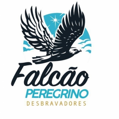Falco Peregrino