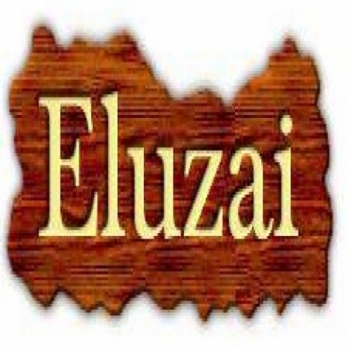 ELUZAI