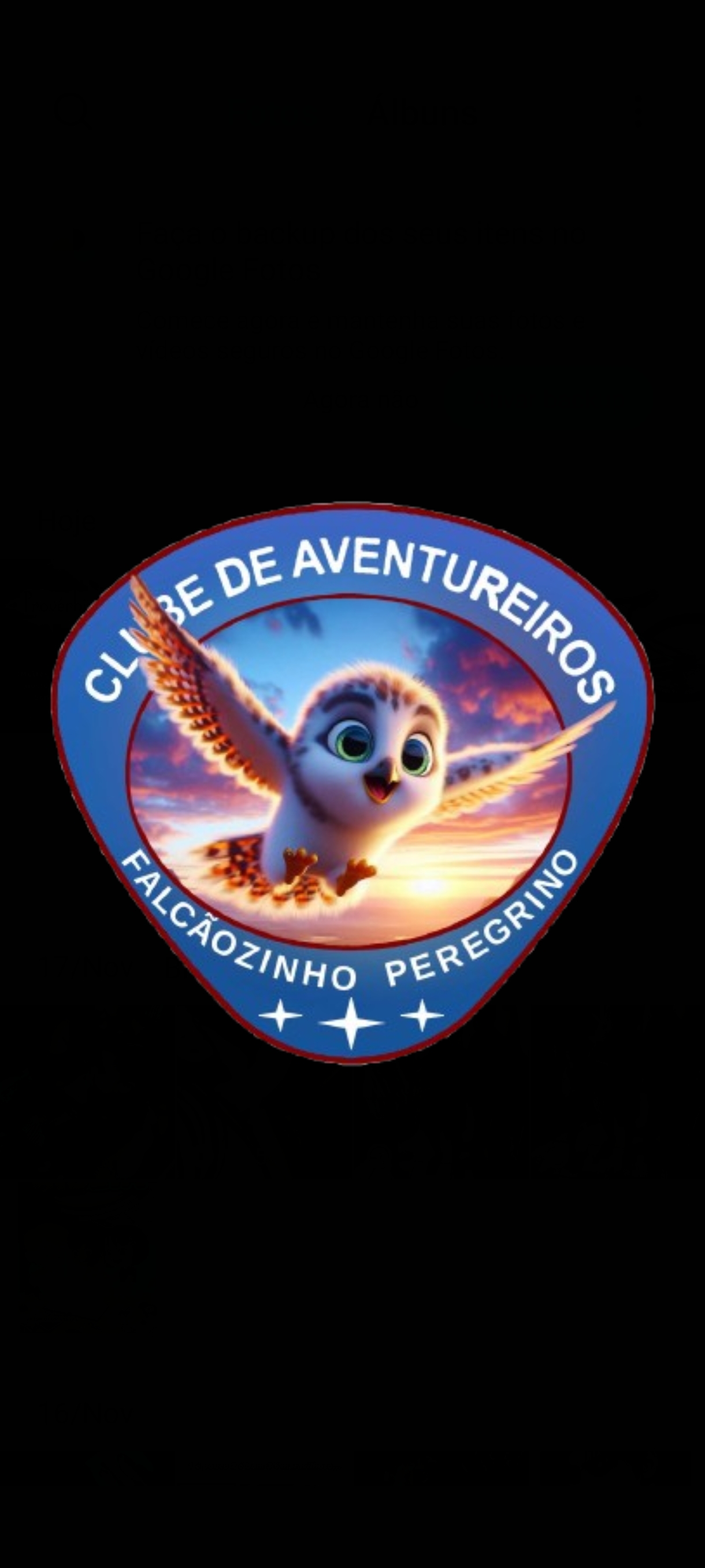 Falcãozinho Peregrino