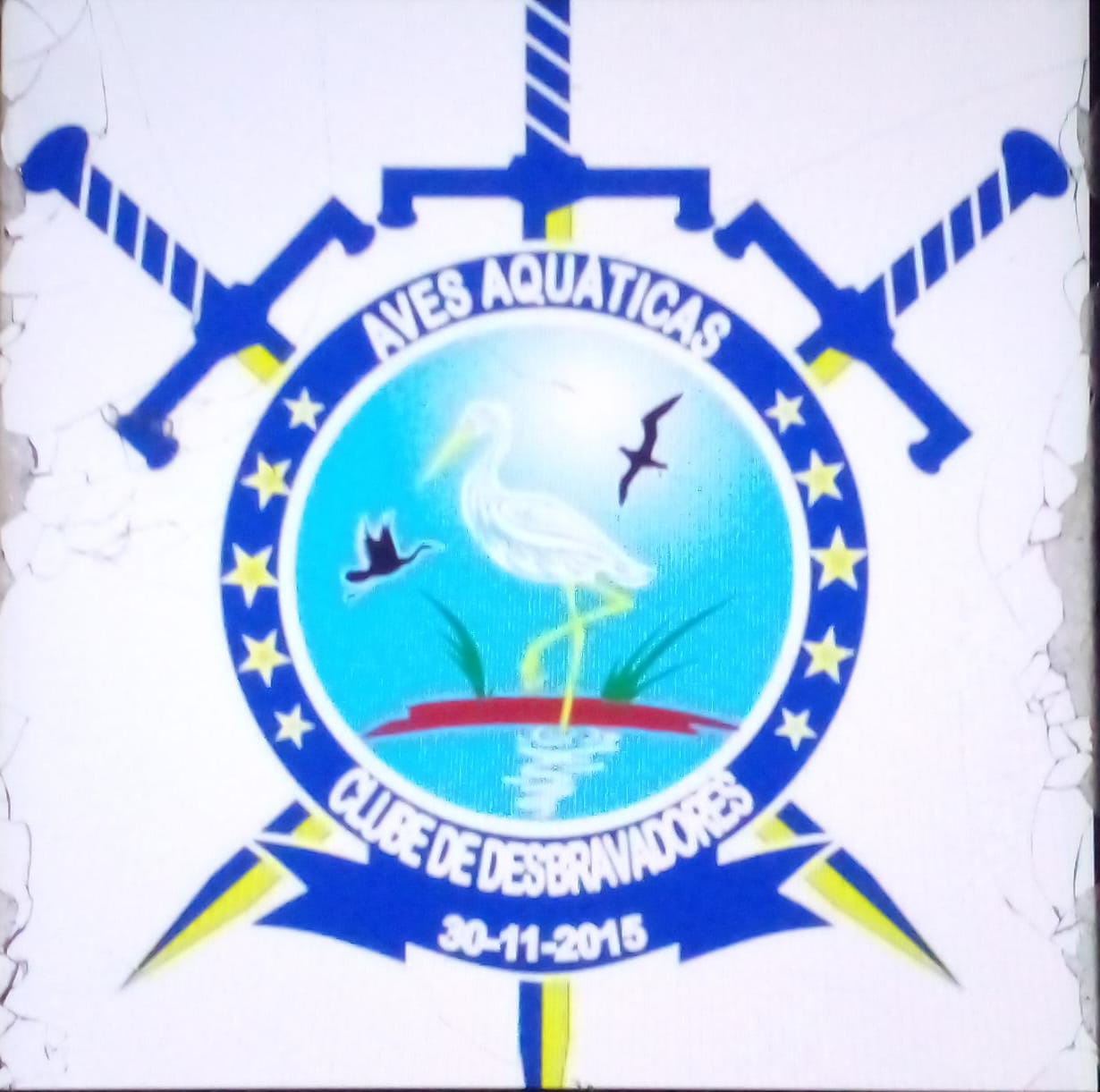 Aves Aquáticas - DBV