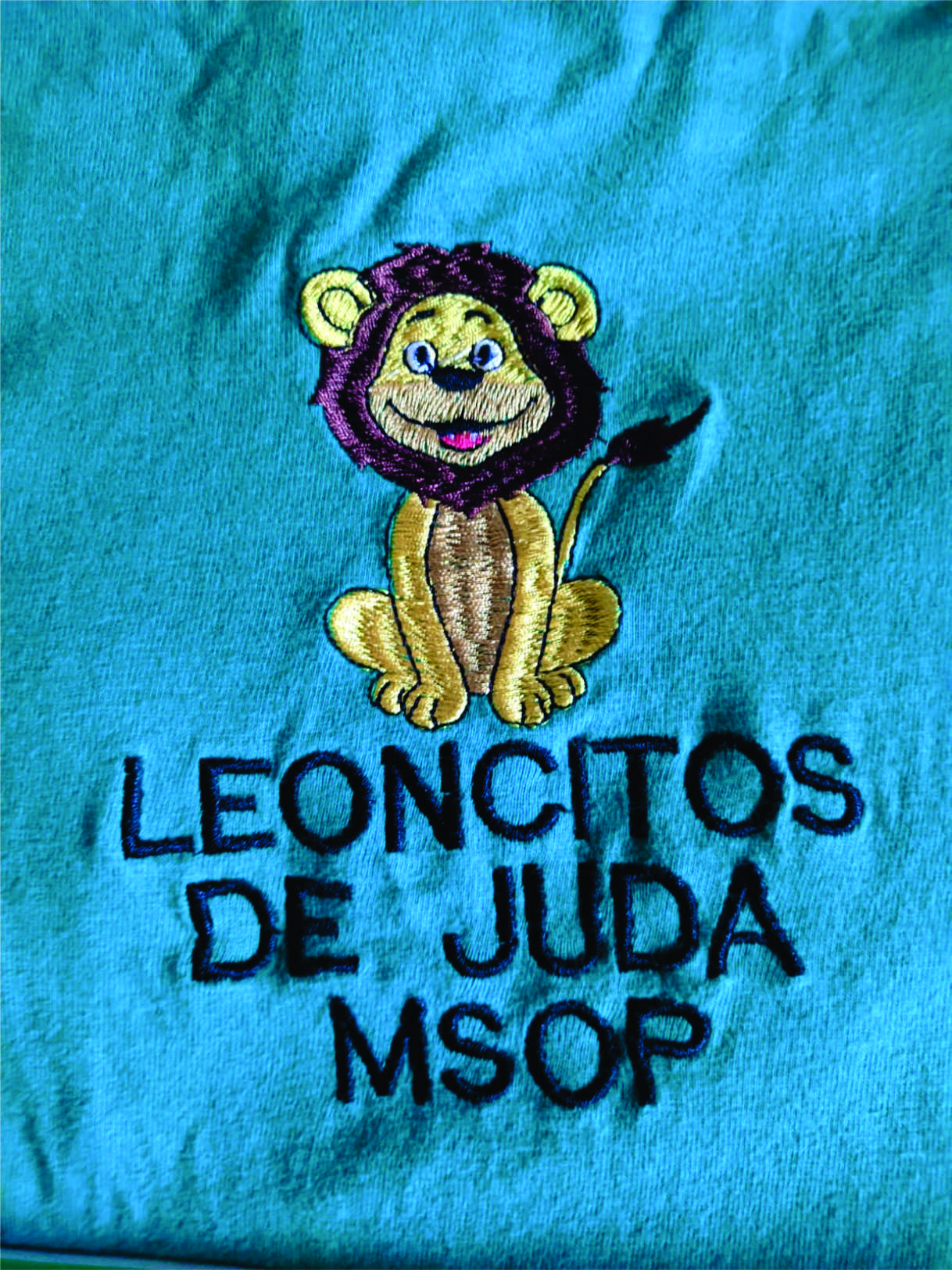 Leoncitos de Judá-Andahuaylas