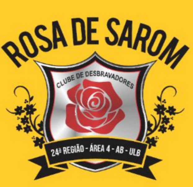 Rosa de Sarom