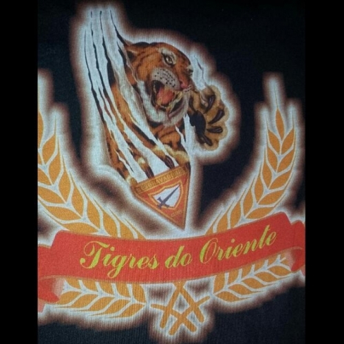 Tigres Do Oriente