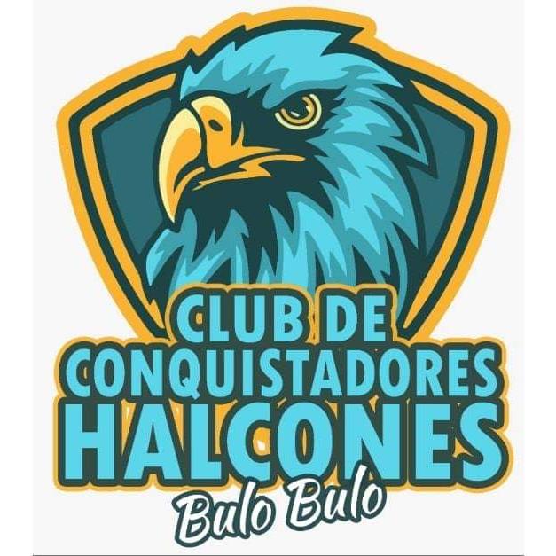 Halcones