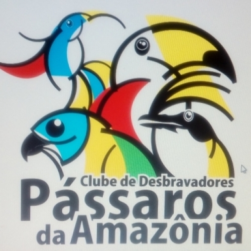 Pássaros da Amazonia