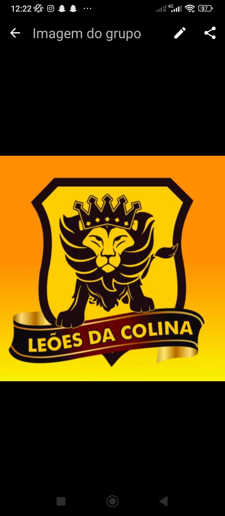 Leões da Colina