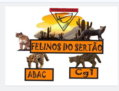 FELINOS DO SERTÃO