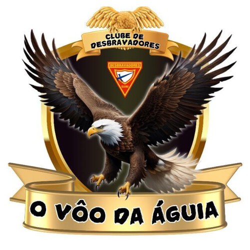 O vôo da águia