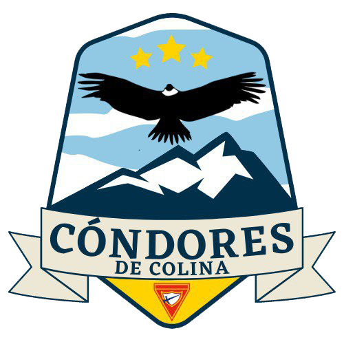 CONDORES DE COLINA
