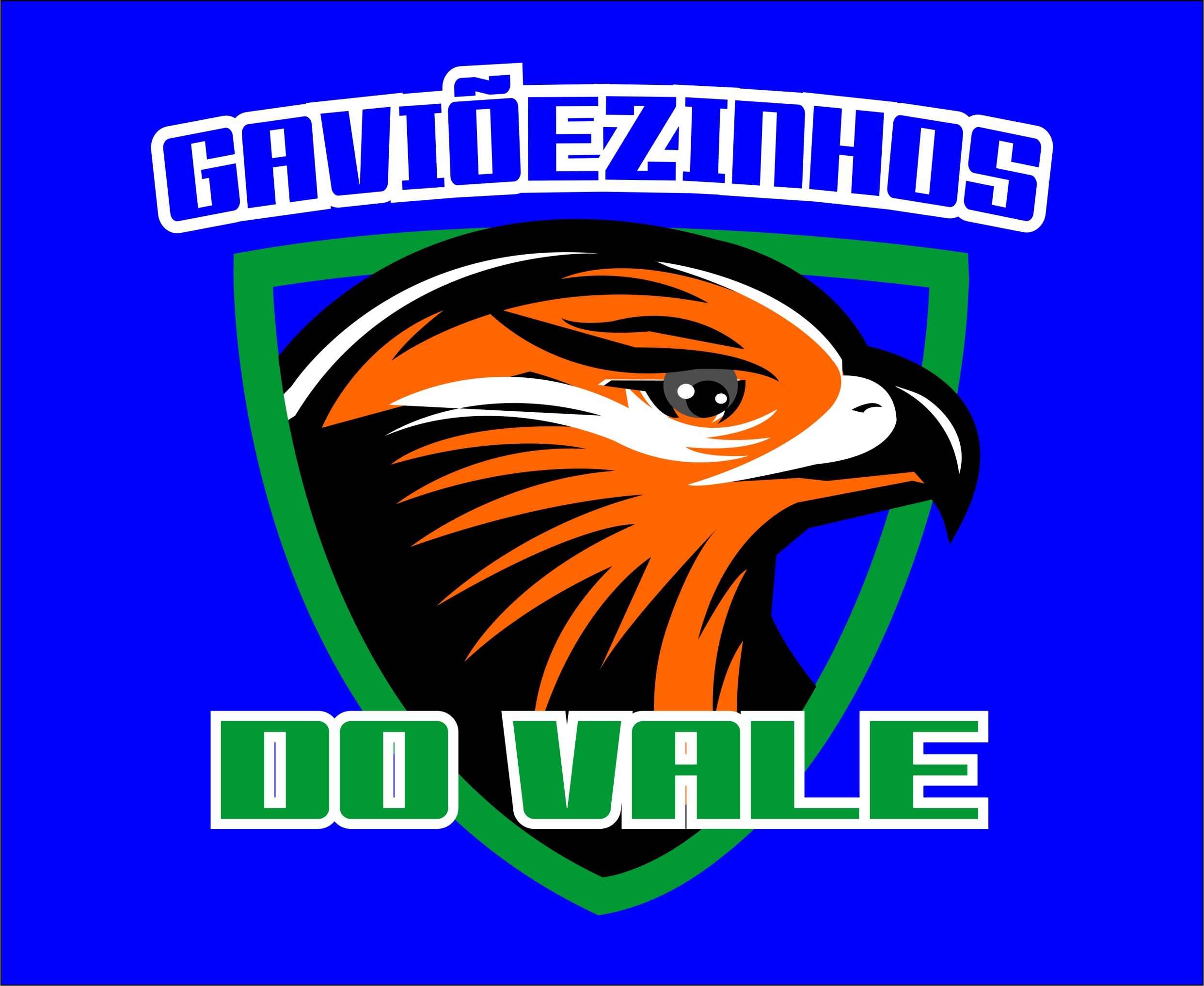 GAVIEZINHOS DO VALE
