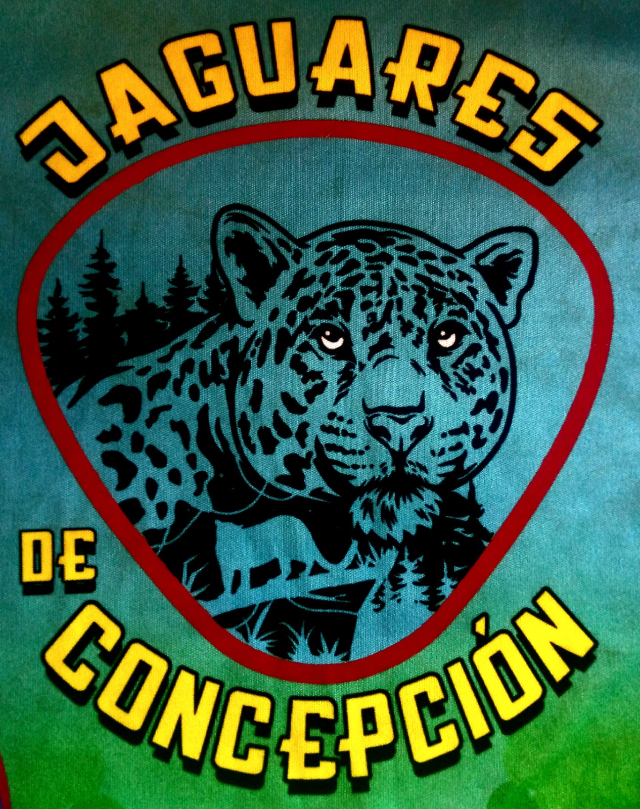 Jaguares de Concepcin