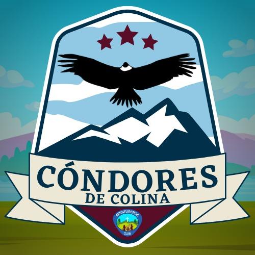CONDORES DE COLINA