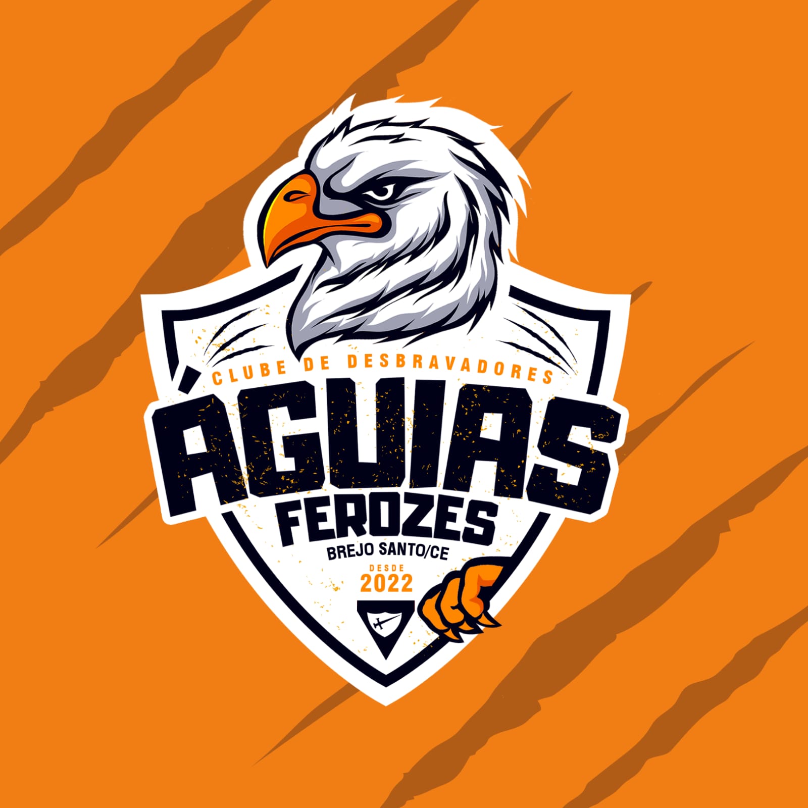 ÁGUIAS FEROZES