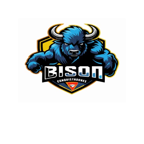 BISON CQT