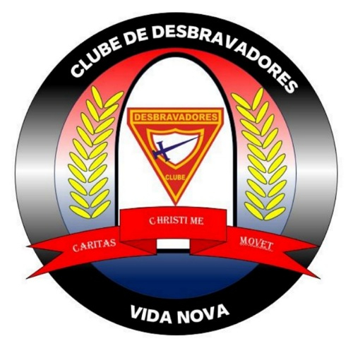 Vida Nova