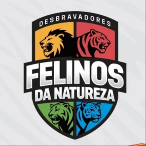 FELINOS DA NATUREZA