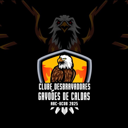 Gaviões de Caldas