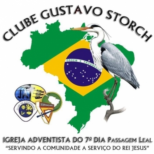 GUSTAVO STORCH