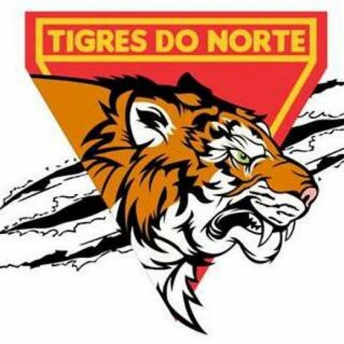 Tigres do Norte